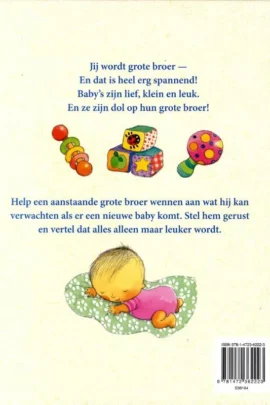 Alternative view of Ik ben je grote broer