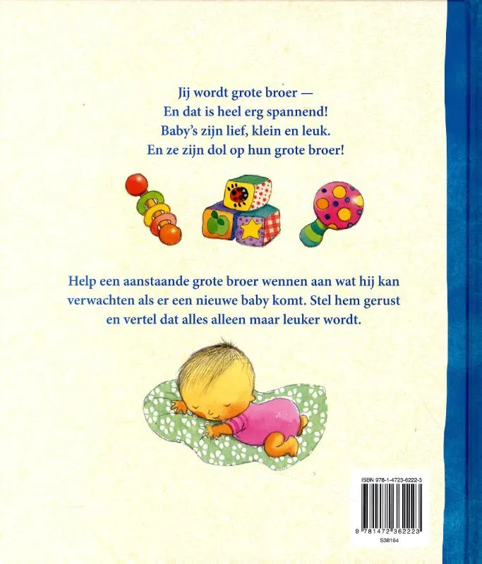 Ik ben je grote broer | 9781472362223 Ik ben je grote broer - Afbeelding 2