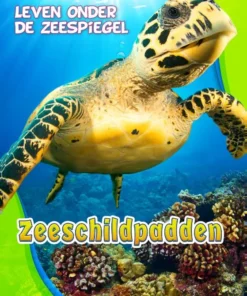 Zeeschildpadden