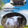 Huilen is niet erg, huilen mag | 9789463362382