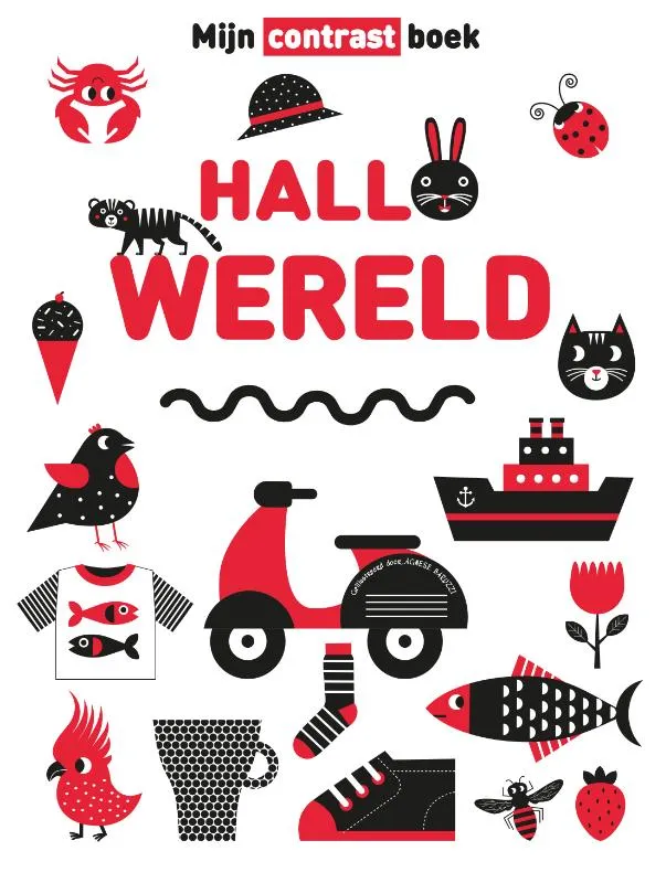 Hallo wereld | 9789036648653 Hallo wereld
