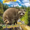 Wasberen | 9789464391022 Wasberen | 9789464391022