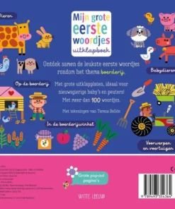 Alternative view of boerderij