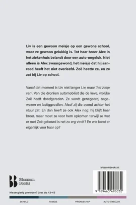 Alternative view of Het zusje van