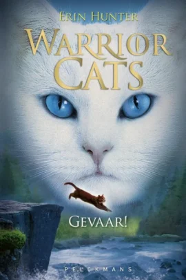 Gevaar