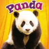 Panda | 9789463412209
