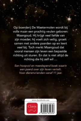 Alternative view of Maangoud