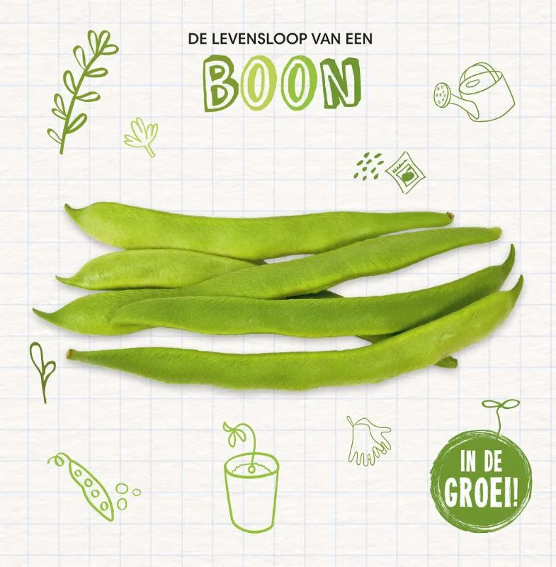 Boon | 9789464397376 Boon