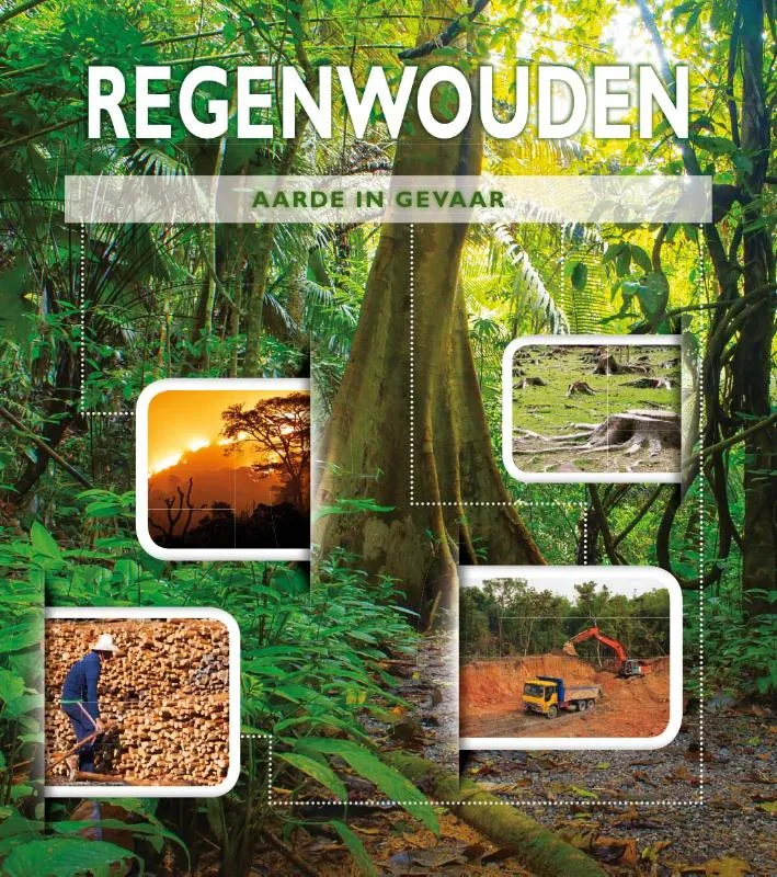 Regenwouden | 9789463411844 Regenwouden