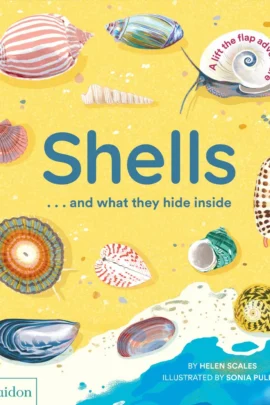 Shells... and what they hide inside