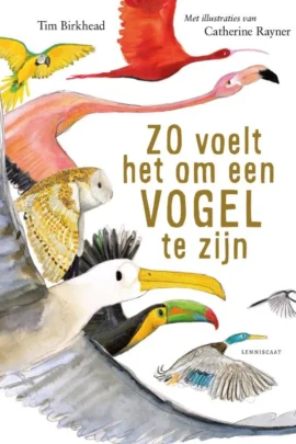 Zo voelt het om een vogel te zijn