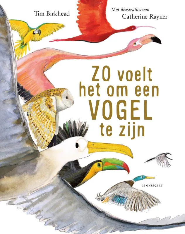Zo voelt het om een vogel te zijn | 9789047715221 Zo voelt het om een vogel te zijn