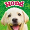 Hond | 9789463412551