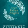 City of Fallen Angels | 9781407179674