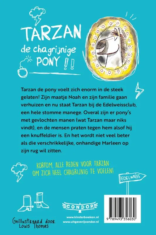 Tarzan, de chagrijnige pony | 9789493356030 Tarzan, de chagrijnige pony - Afbeelding 2