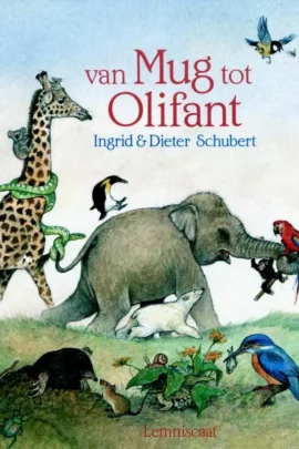 Van mug tot olifant