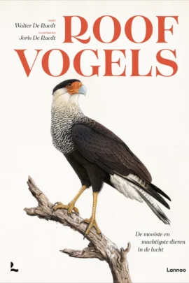 Roofvogels