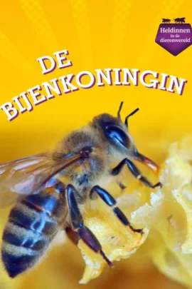 De bijenkoningin
