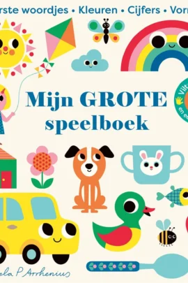 Mijn grote speelboek