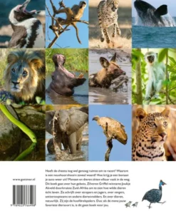 Alternative view of Wij waren hier eerst