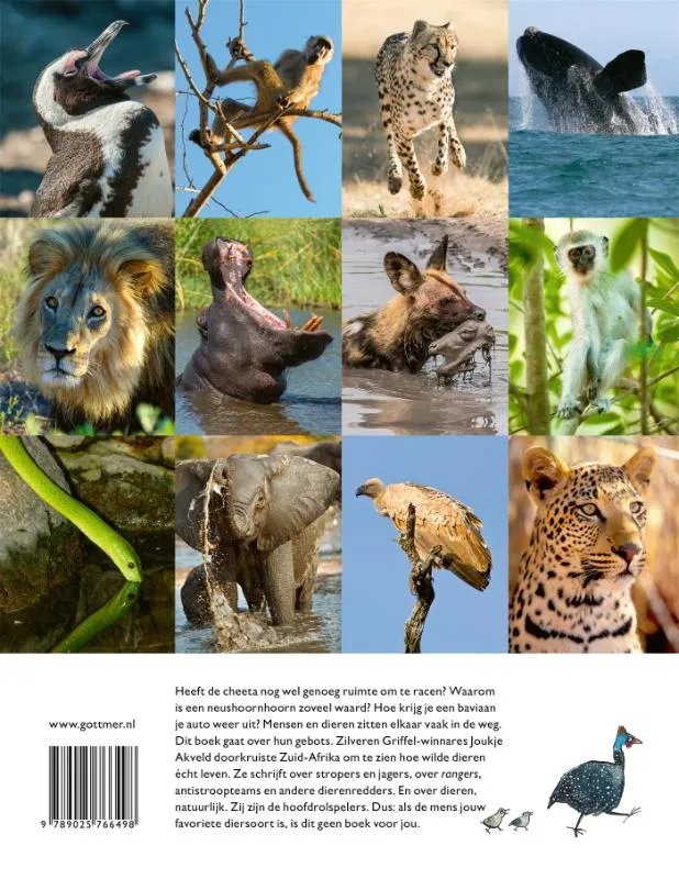 Wij waren hier eerst | 9789025766498 Wij waren hier eerst - Afbeelding 2