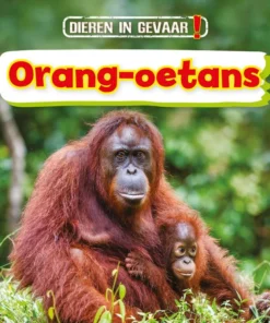 Orang-oetans
