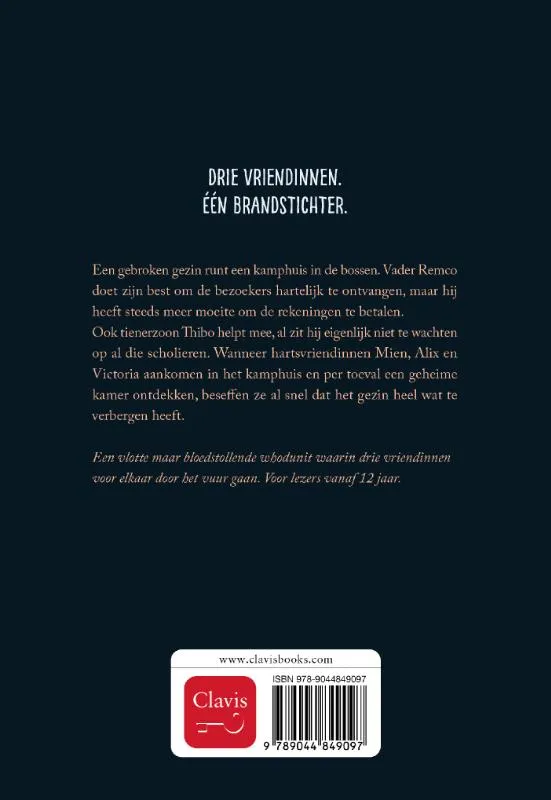 Je speelt met vuur | 9789044849097 Je speelt met vuur - Afbeelding 2