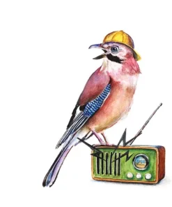 Alternative view of Fogul