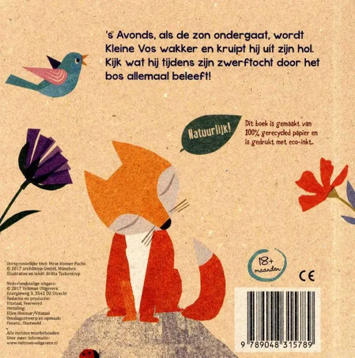 Mijn kleine vos - Afbeelding 2