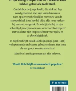 Alternative view of Boy