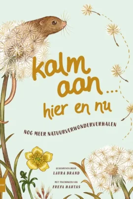 Kalm aan… Hier en nu