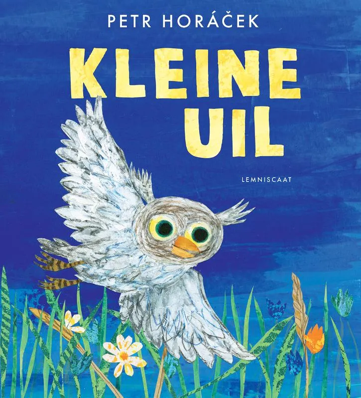 Kleine uil | 9789047715702 Kleine uil