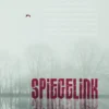 Spiegelink | 9789463651318