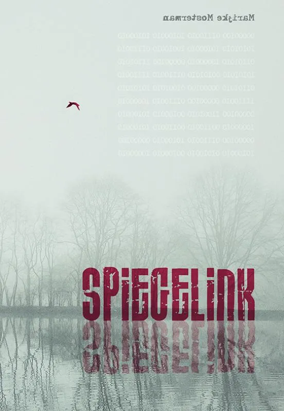 Spiegelink | 9789463651004 Spiegelink
