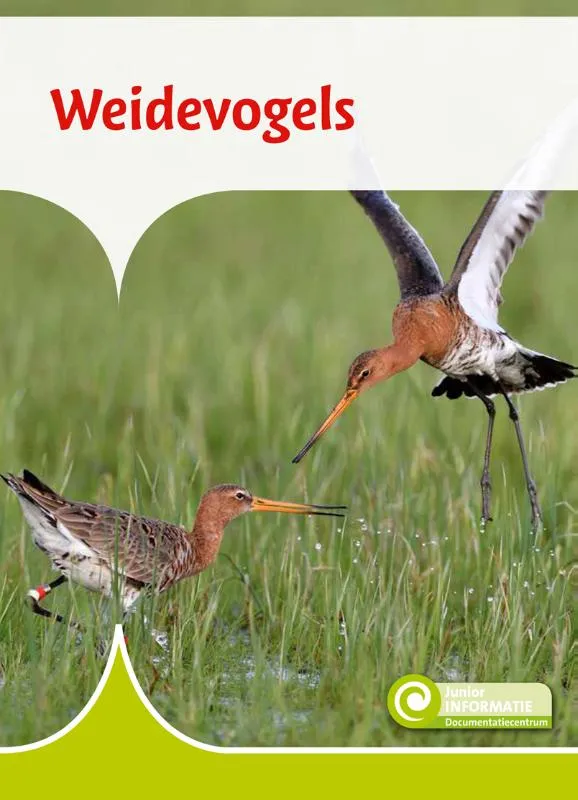 Weidevogels | 9789086648849 Weidevogels