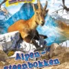 Alpen Steenbokken | 9789464391008