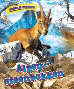 Alpen Steenbokken