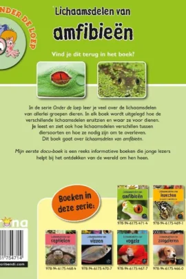 Alternative view of Lichaamsdelen van amfibieën