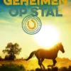 Geheimen op stal | 9789021047492