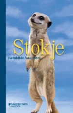 Stokje | 9789002277924