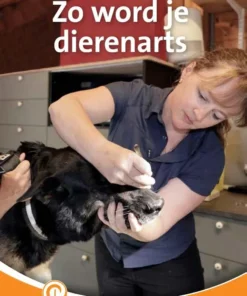 Zo word je dierenarts