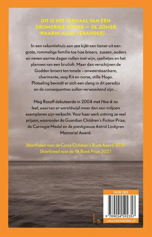 De Godden broers | 9789024592357 De Godden broers - Afbeelding 2