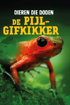 De pijlgifkikker