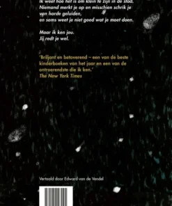 Klein in de grote stad | 9789045127095