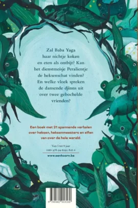 Alternative view of Jongenssoep met balletjes