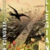 Allegiant Anniversary Edition | 9780062387240