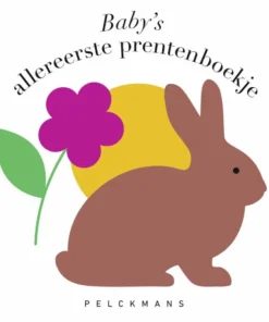 Baby's allereerste prentenboekje