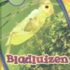 Bladluizen | 9789463415101 Bladluizen | 9789463415101