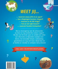 Alternative view of Hoe? Wat? Waarom?