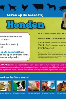 Alternative view of Honden